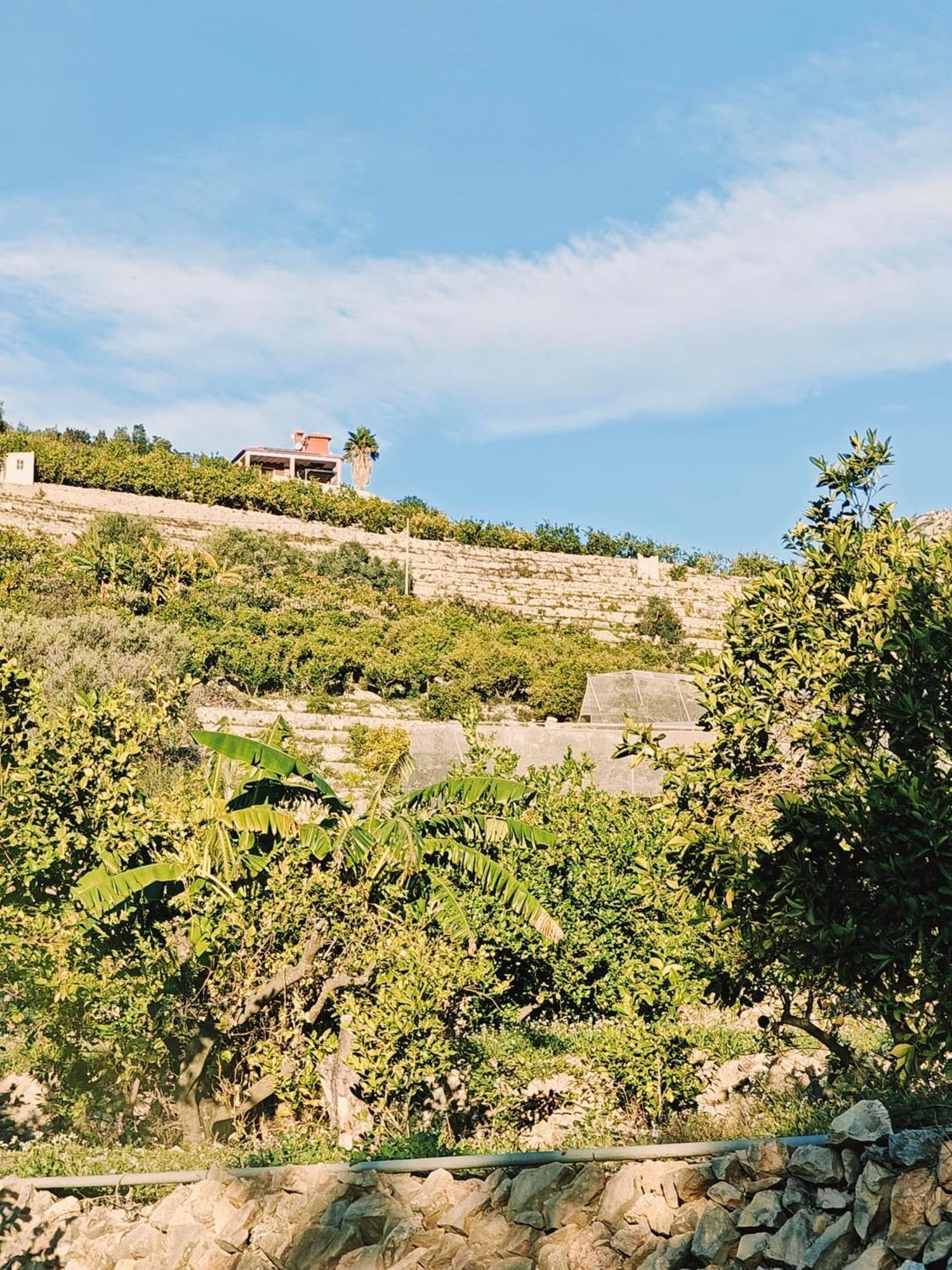 Finca Oliva Bolulla Екстер'єр фото