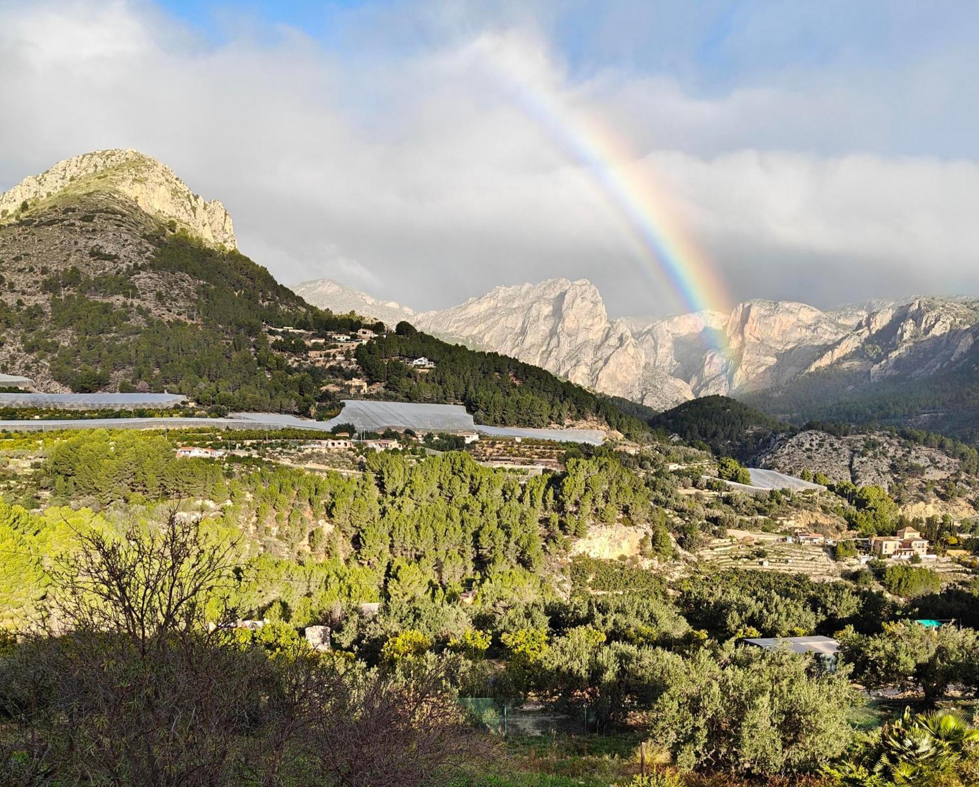 Finca Oliva Bolulla Екстер'єр фото